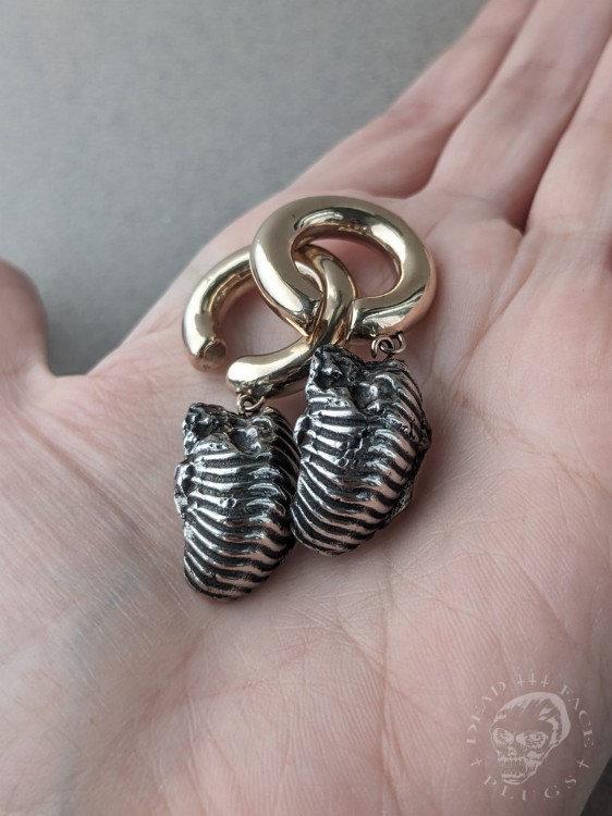 Silver piece of ammonite and gold chunky shiny hoops  ear weights artifact hangers