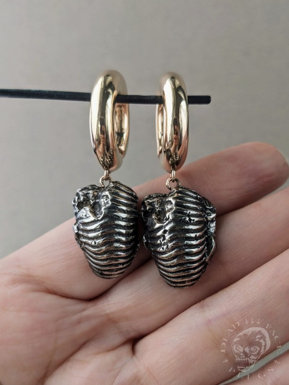 Silver piece of ammonite and gold chunky shiny hoops  ear weights artifact hangers